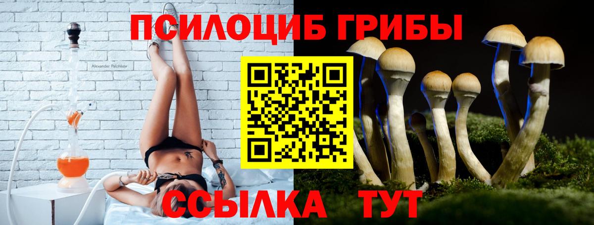 Соль-Илецк  что такое   Вход с VPN  Галлюциногенные грибы Psilocybe 